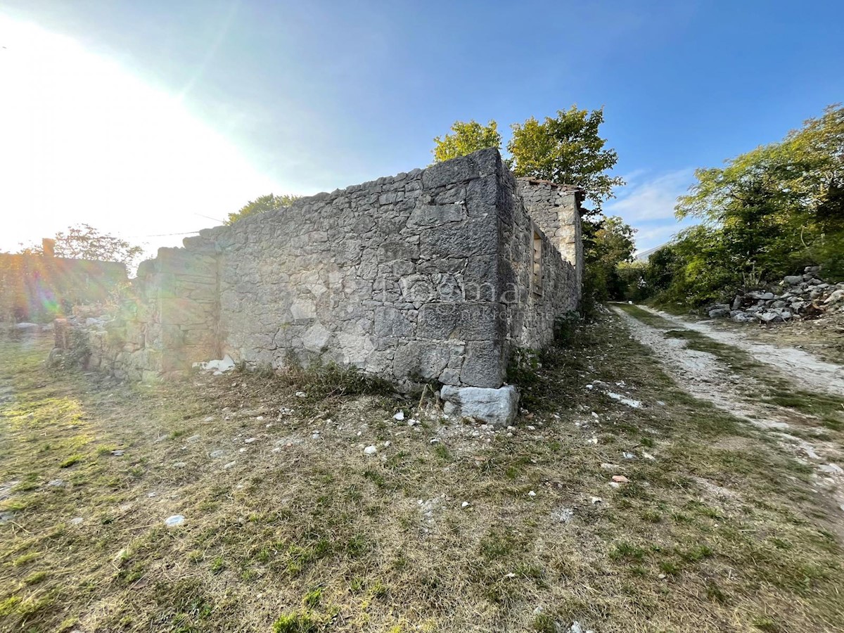 RUDERE CON AMPIO TERRENO