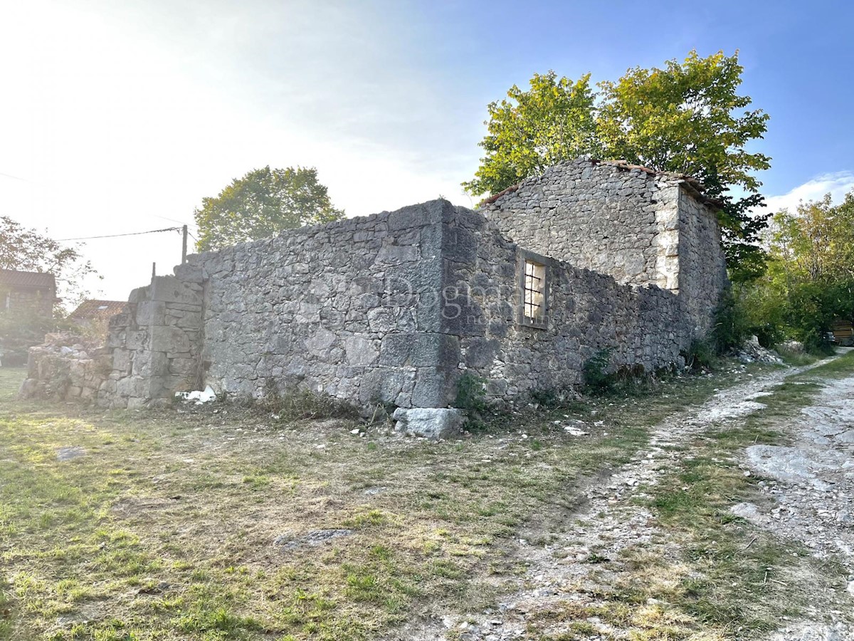 RUDERE CON AMPIO TERRENO