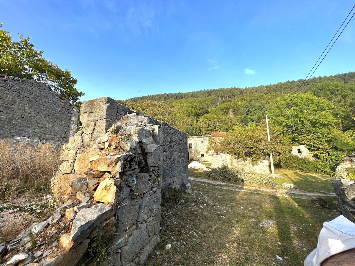 RUDERE CON AMPIO TERRENO