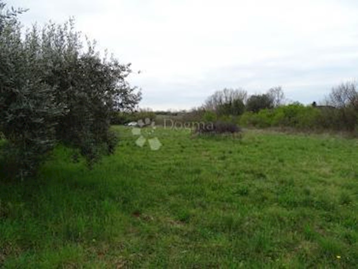 Terreno Murine, Umag, 1.450m2