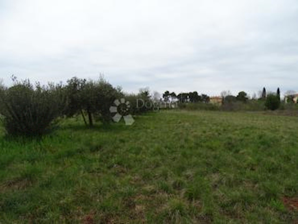 Terreno Murine, Umag, 1.450m2