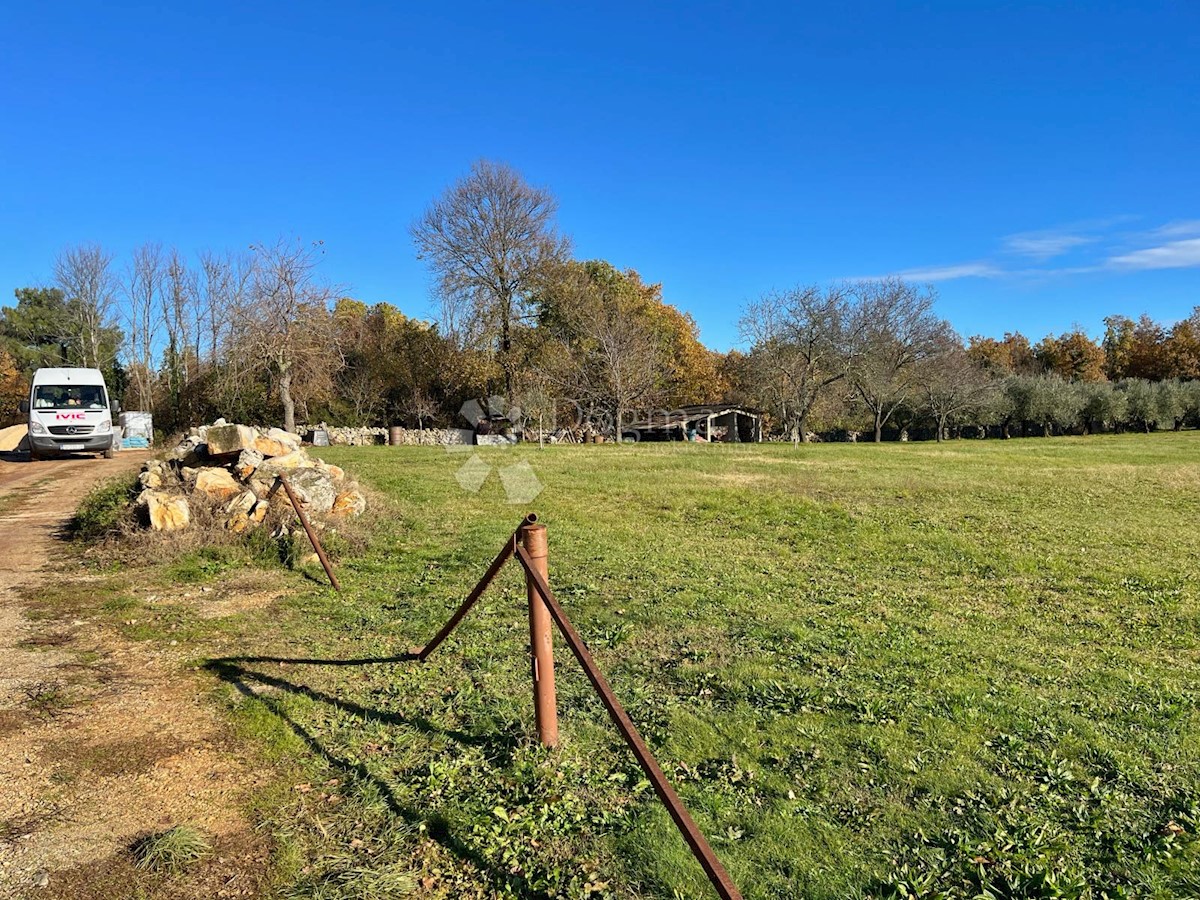 TERRENO EDIFICABILE IN UNA PICCOLA ZONA TRANQUILLA