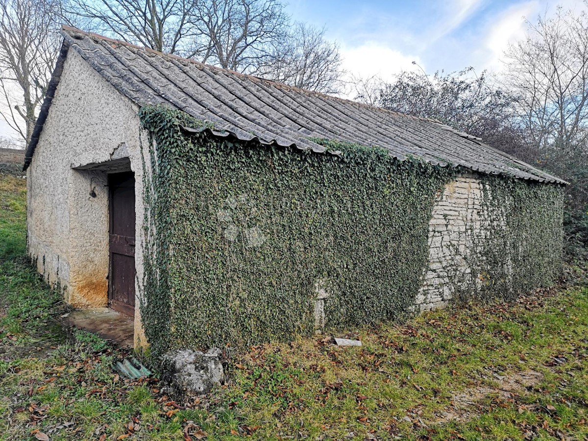 Casa Lindar, Pazin - Okolica, 360m2