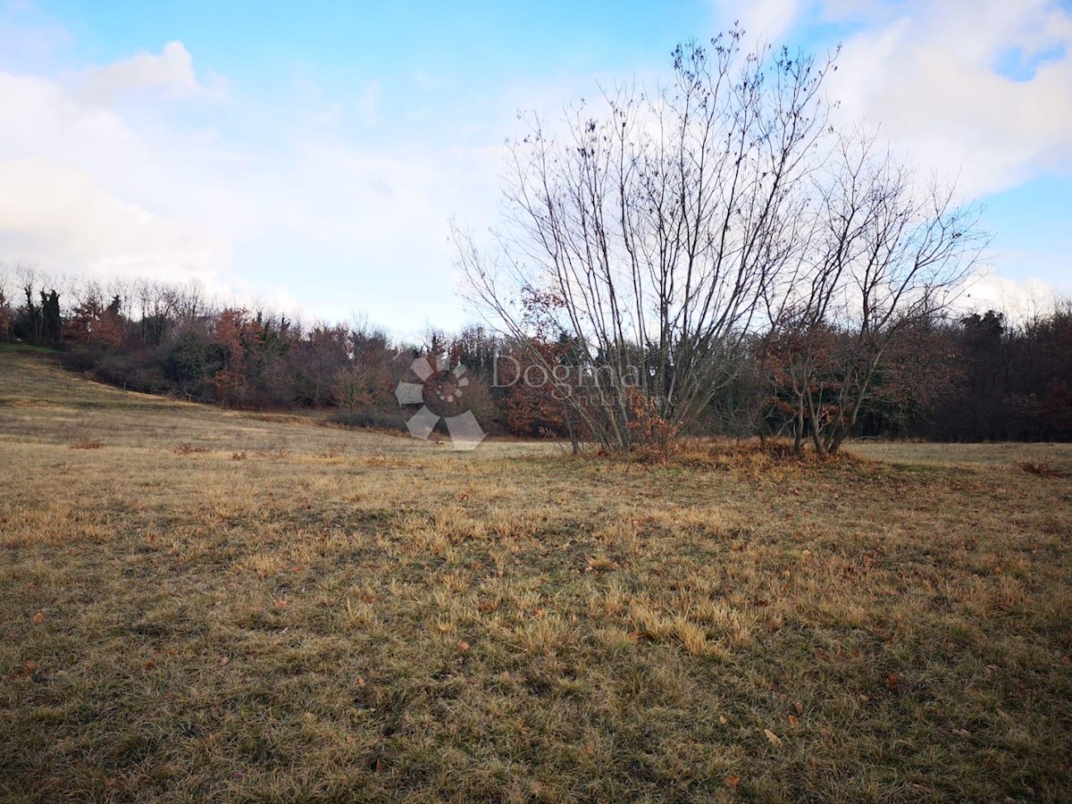 Casa Lindar, Pazin - Okolica, 360m2