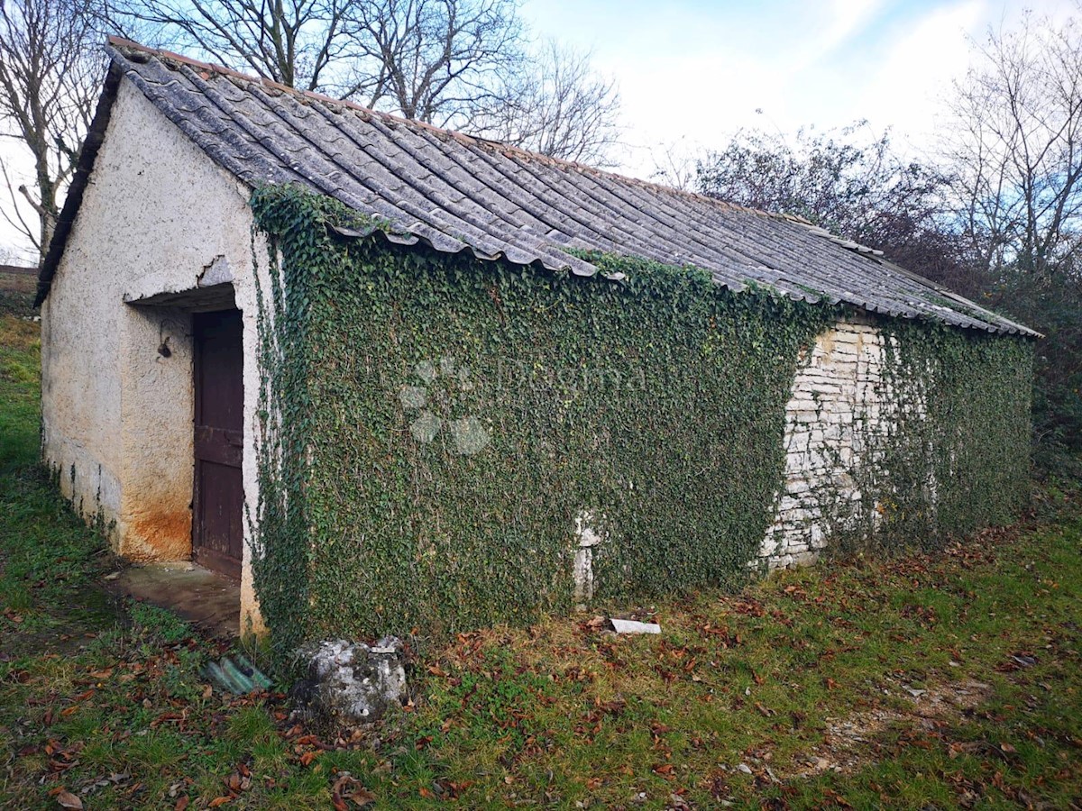 Casa Lindar, Pazin - Okolica, 360m2