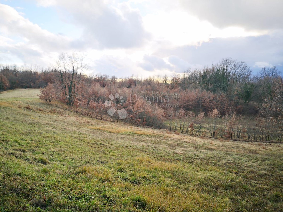 Casa Lindar, Pazin - Okolica, 360m2