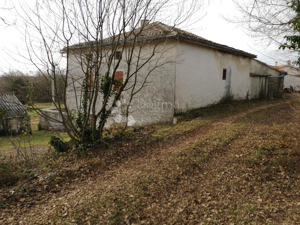 Casa Lindar, Pazin - Okolica, 360m2