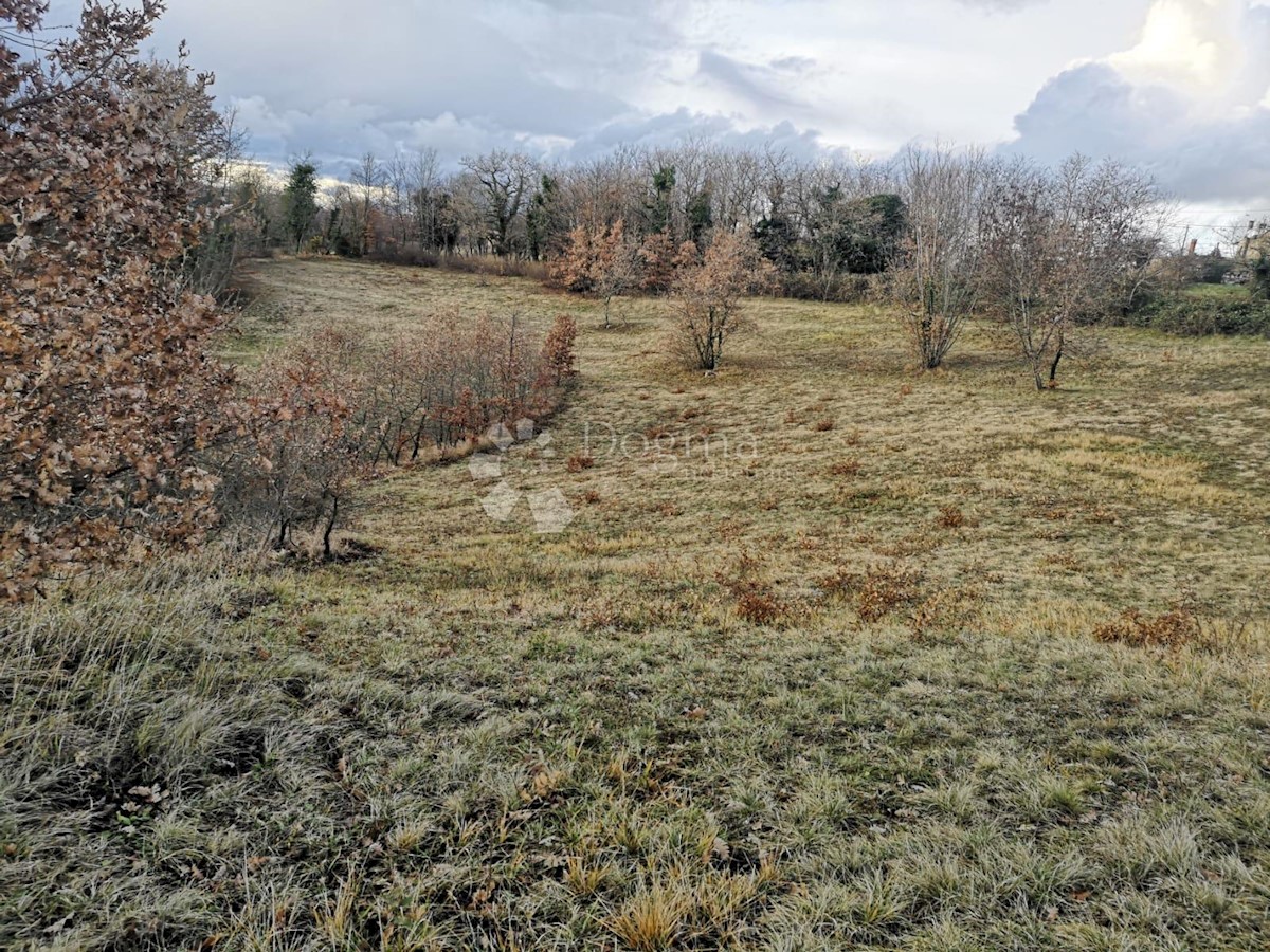 Casa Lindar, Pazin - Okolica, 360m2