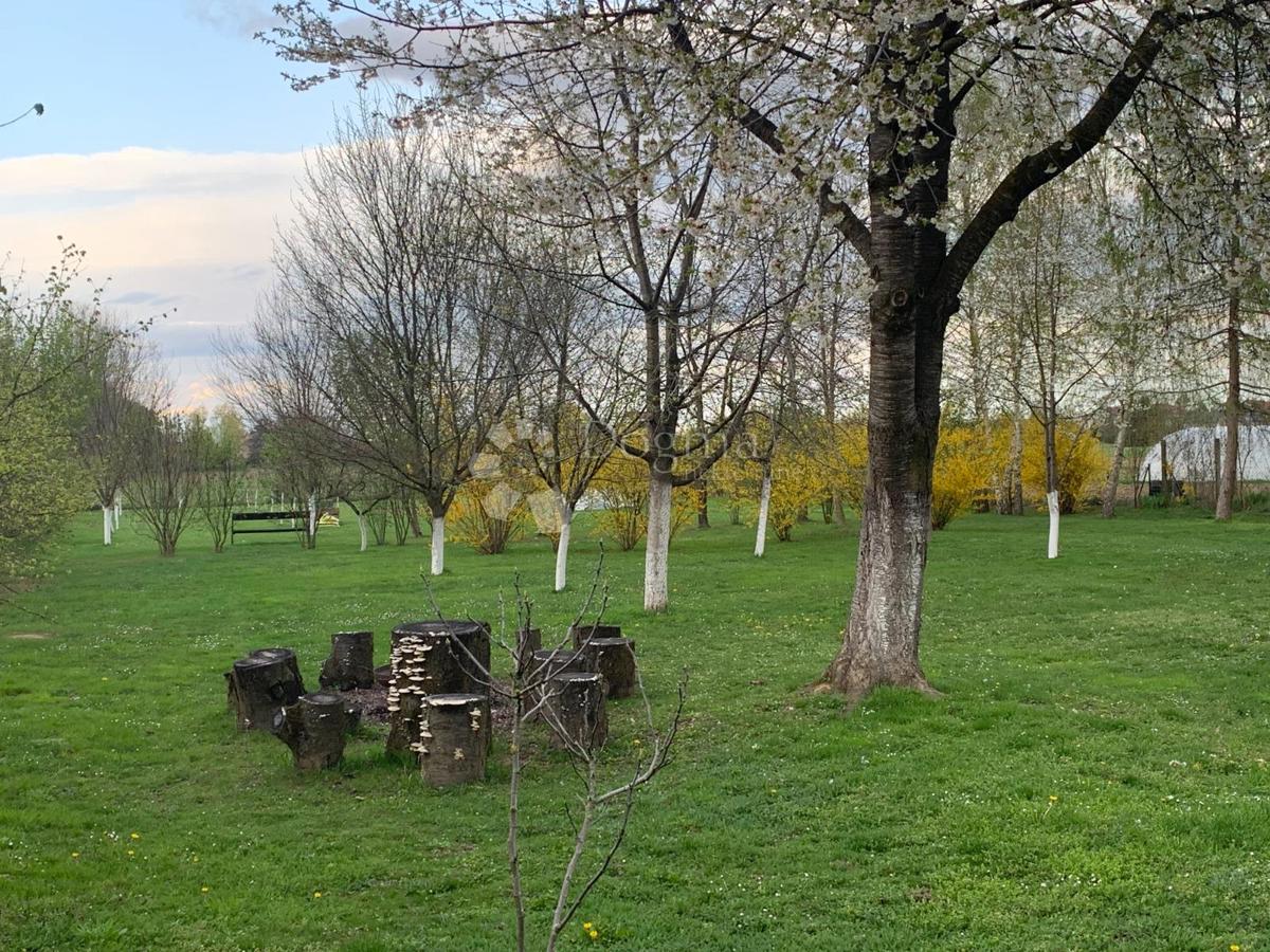 Casa Mala Mlaka, Novi Zagreb - Zapad, 354m2