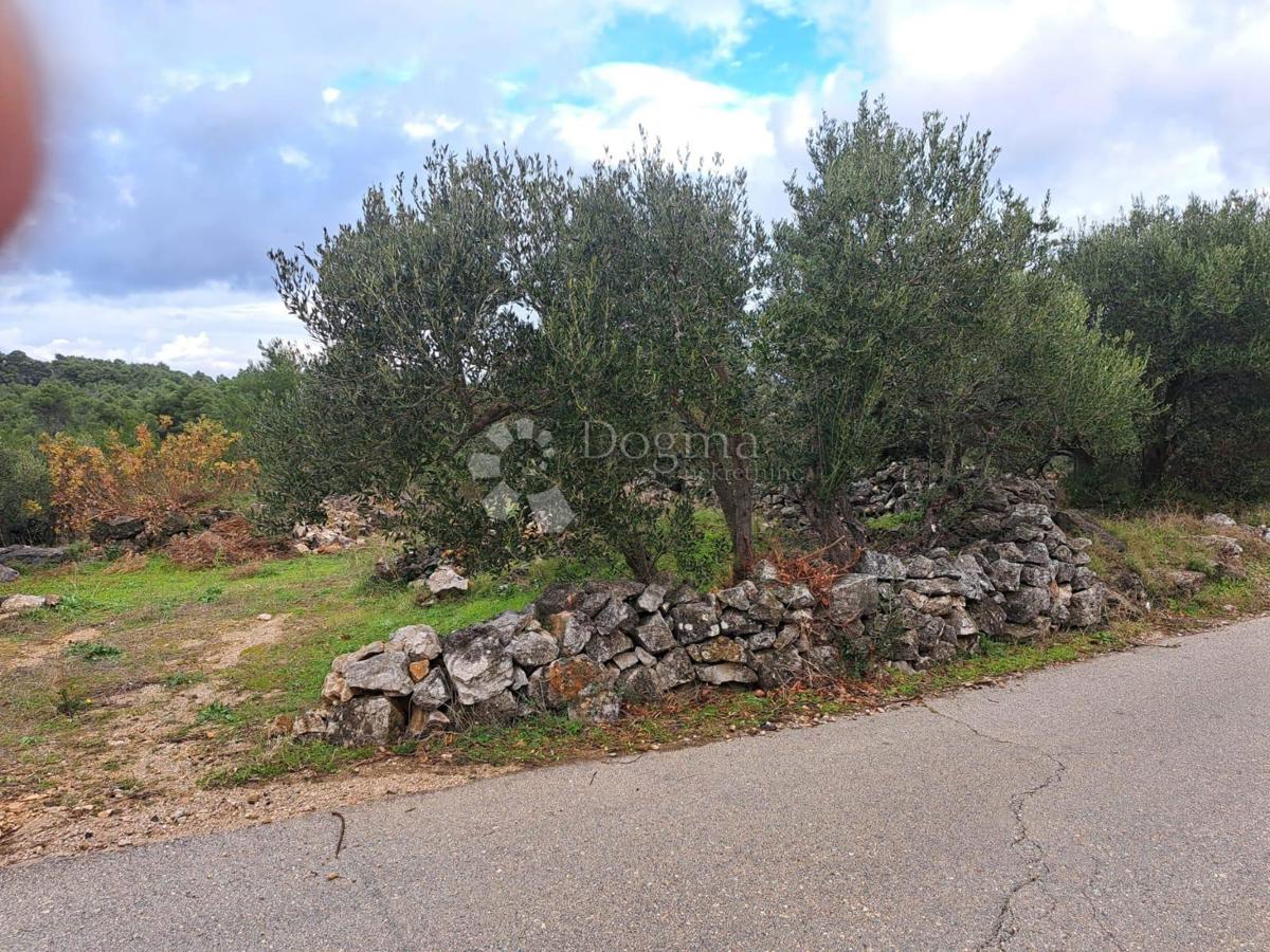 Terreno Hvar, 9.500m2