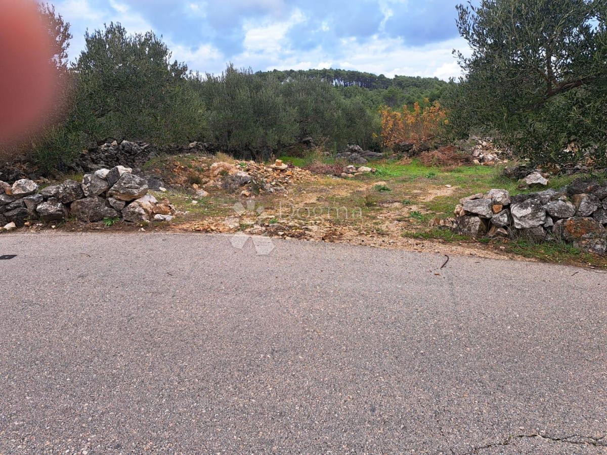 Terreno Hvar, 9.500m2