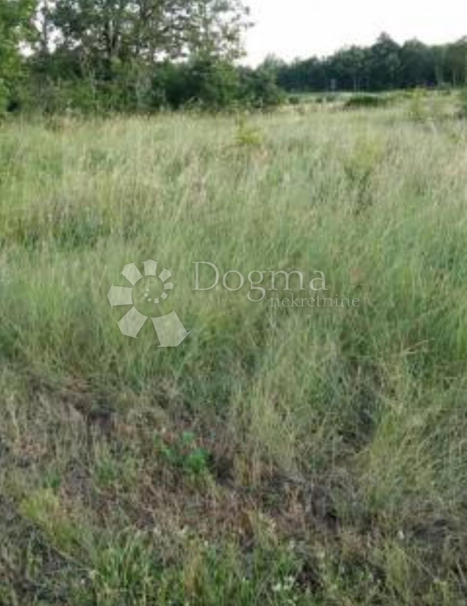 Terreno Grižane-Belgrad, Vinodolska Općina, 2.196m2