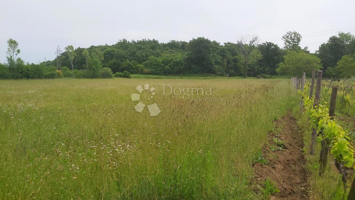 Terreno Labin, 10.550m2