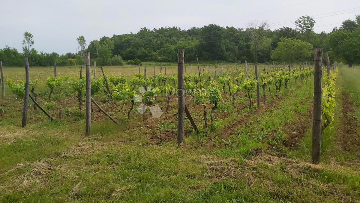 Terreno Labin, 10.550m2