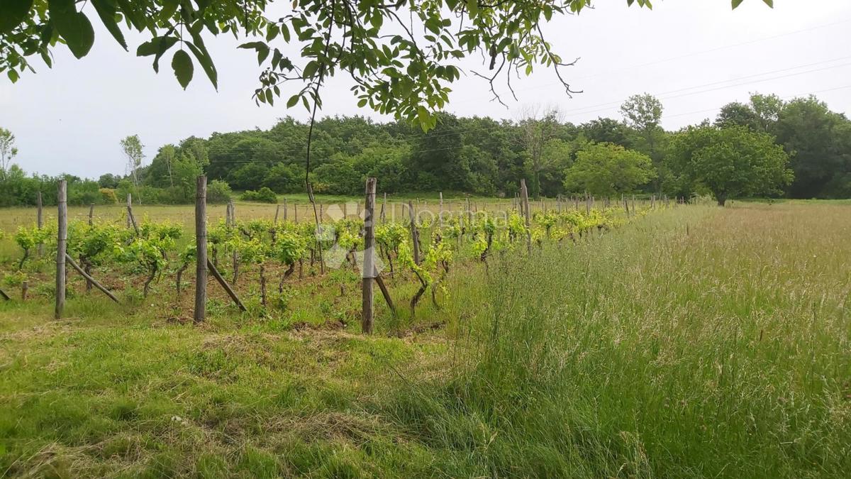 Terreno Labin, 10.550m2