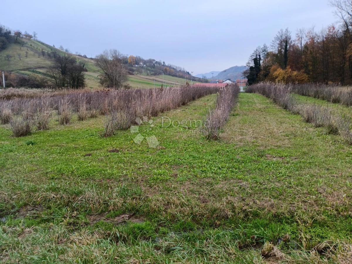 Casa Gornje Makojišće, Novi Marof, 224m2