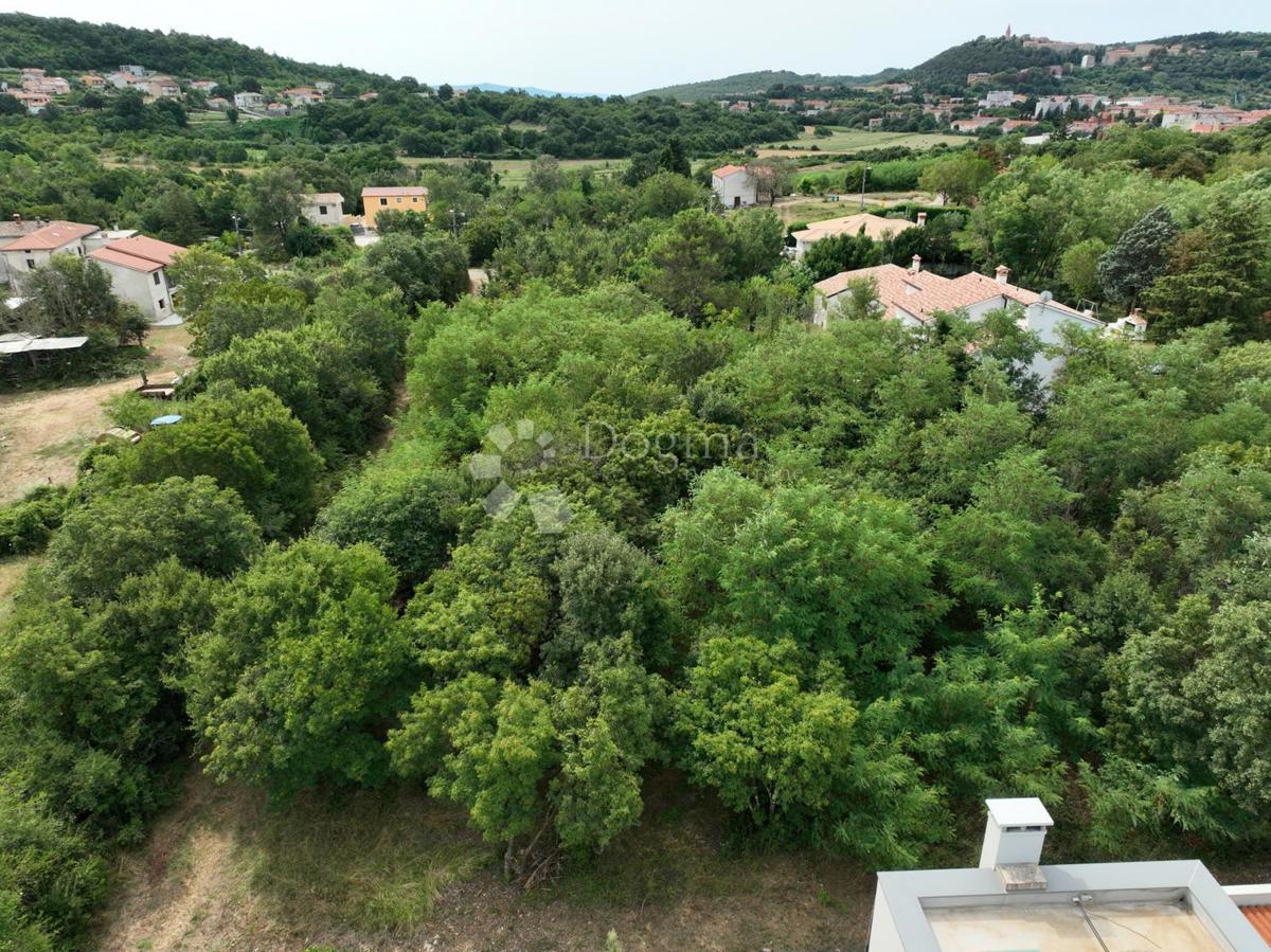 Terreno edificabile e progetto per una casa con piscina, 1.230m2