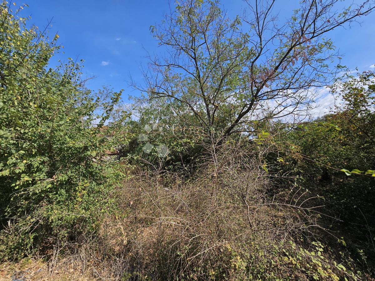 Terreno Donje Raštane, Sveti Filip I Jakov, 1.174m2