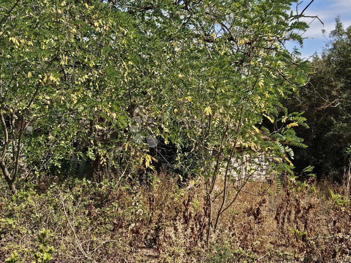 Terreno Donje Raštane, Sveti Filip I Jakov, 1.174m2