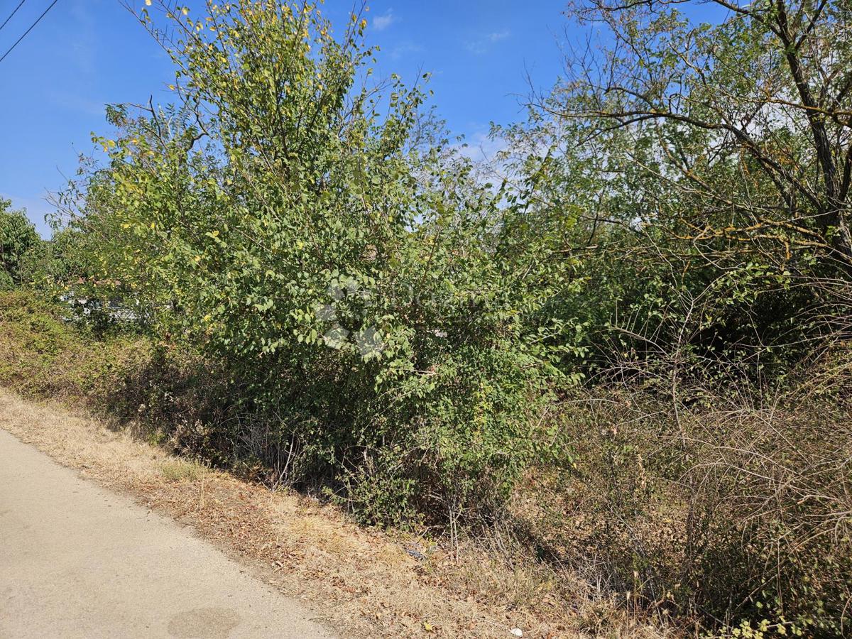 Terreno Donje Raštane, Sveti Filip I Jakov, 1.174m2