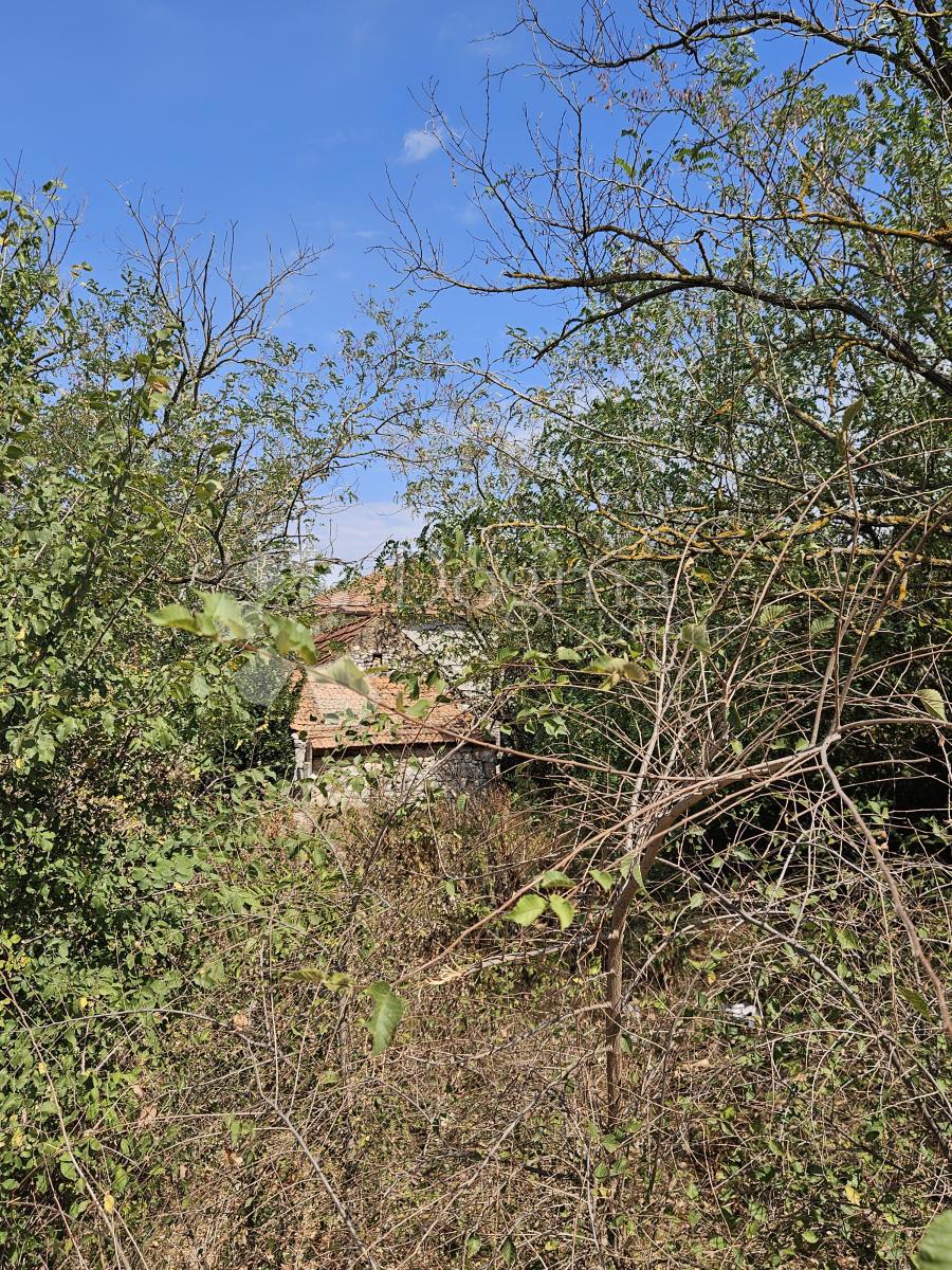 Terreno Donje Raštane, Sveti Filip I Jakov, 1.174m2