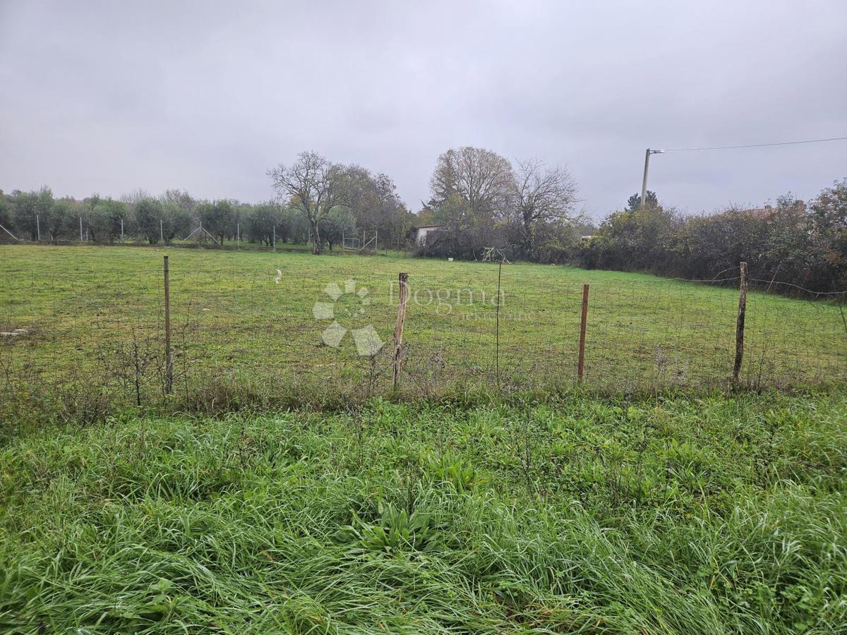 Terreno Filipini, Poreč, 2.000m2