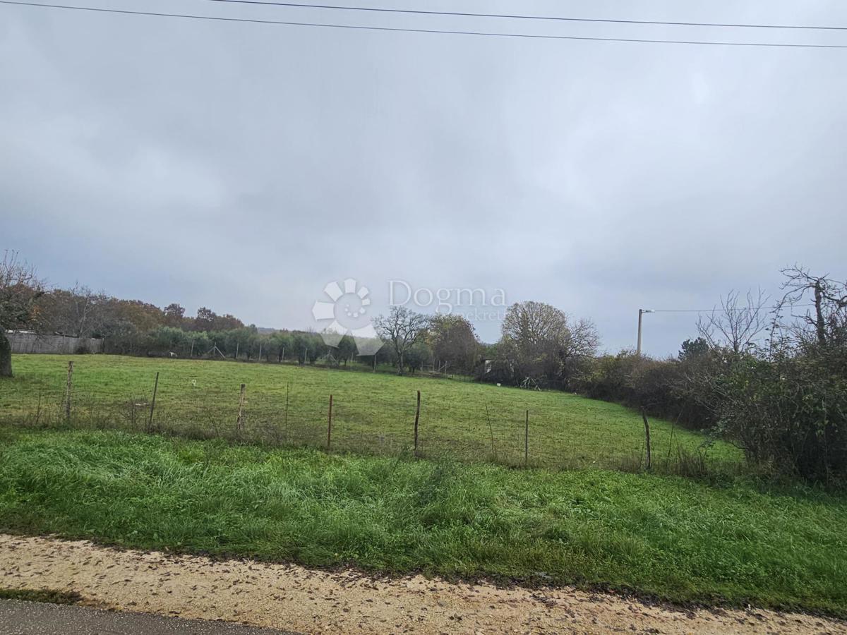 Terreno Filipini, Poreč, 2.000m2