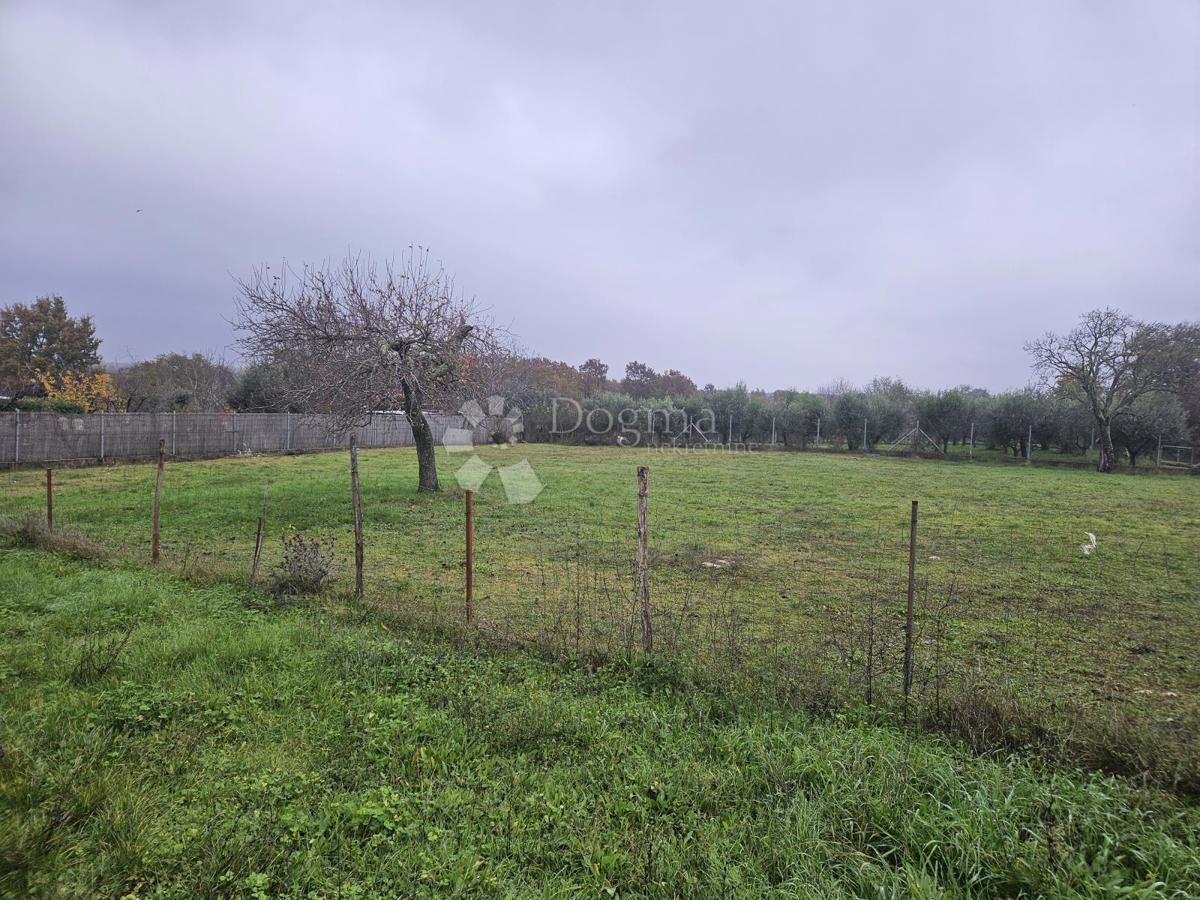 Terreno Filipini, Poreč, 2.000m2