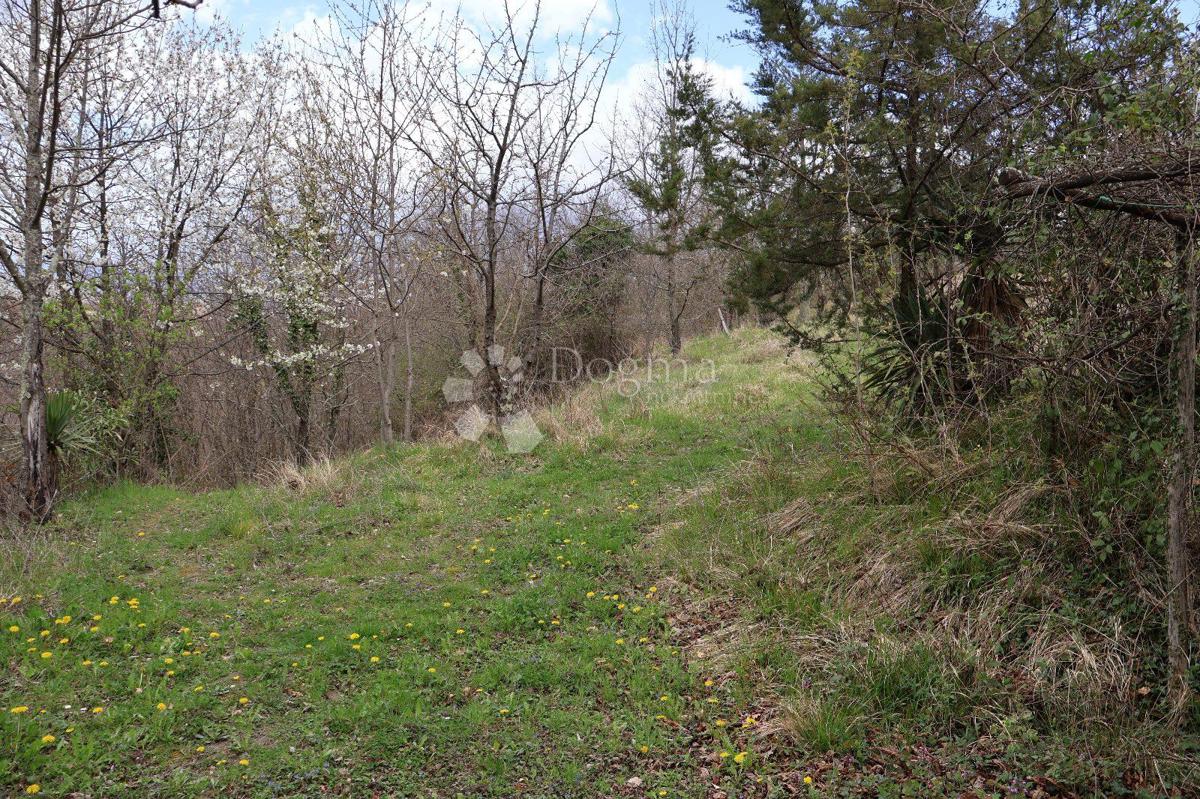 erreno Sensazionale di 115.000 m² in Istria 