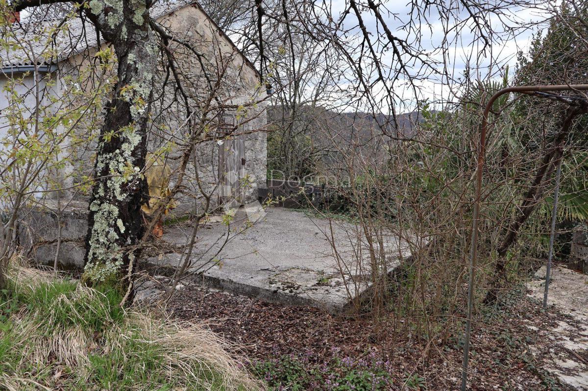 erreno Sensazionale di 115.000 m² in Istria 