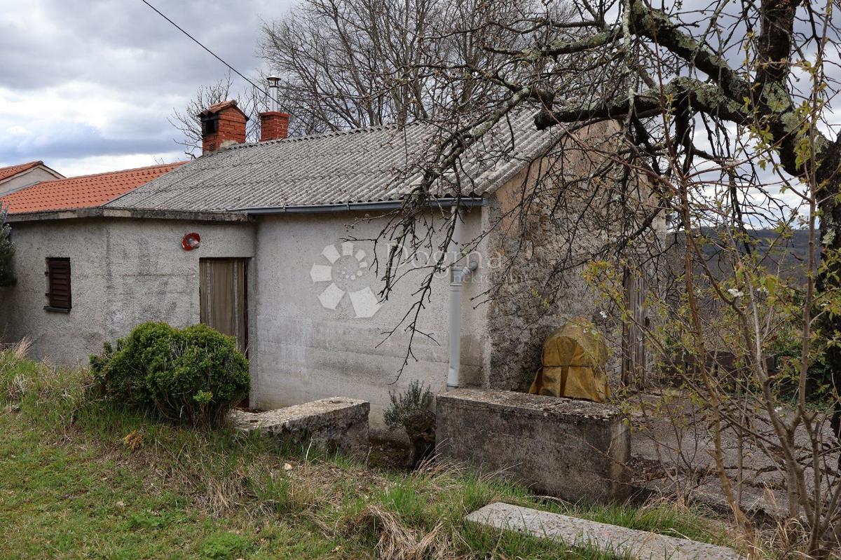 erreno Sensazionale di 115.000 m² in Istria 