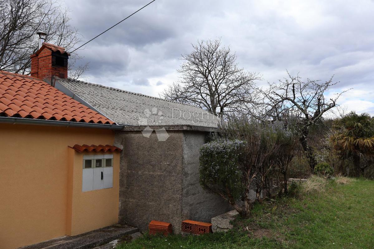 erreno Sensazionale di 115.000 m² in Istria 