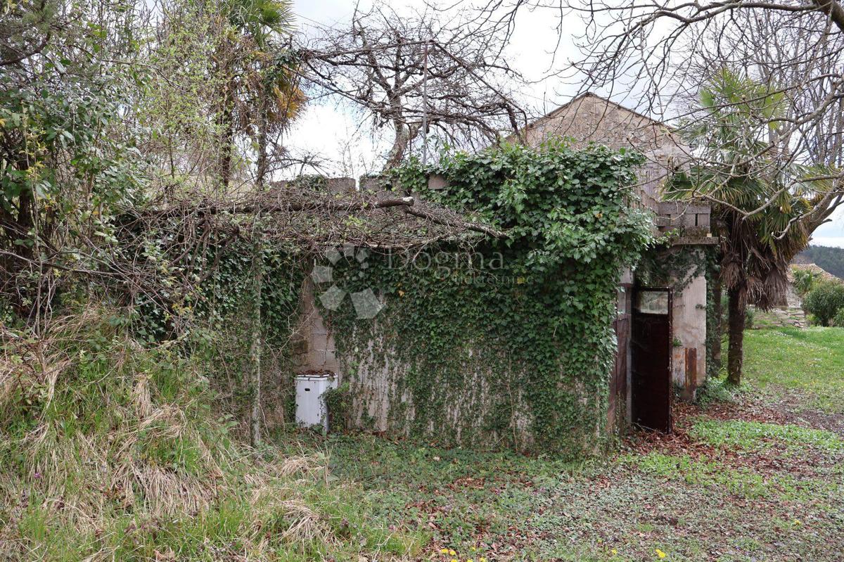 erreno Sensazionale di 115.000 m² in Istria 