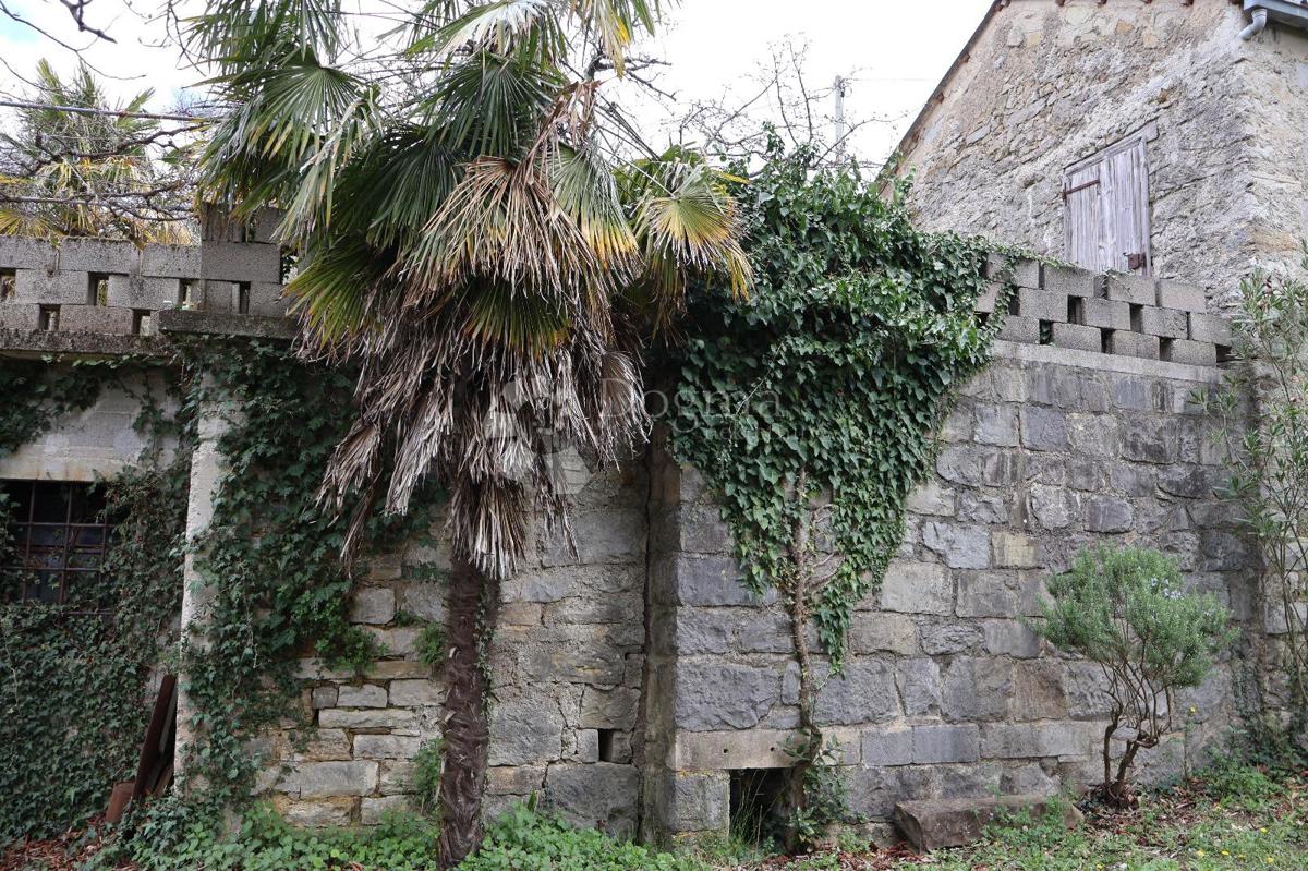 erreno Sensazionale di 115.000 m² in Istria 