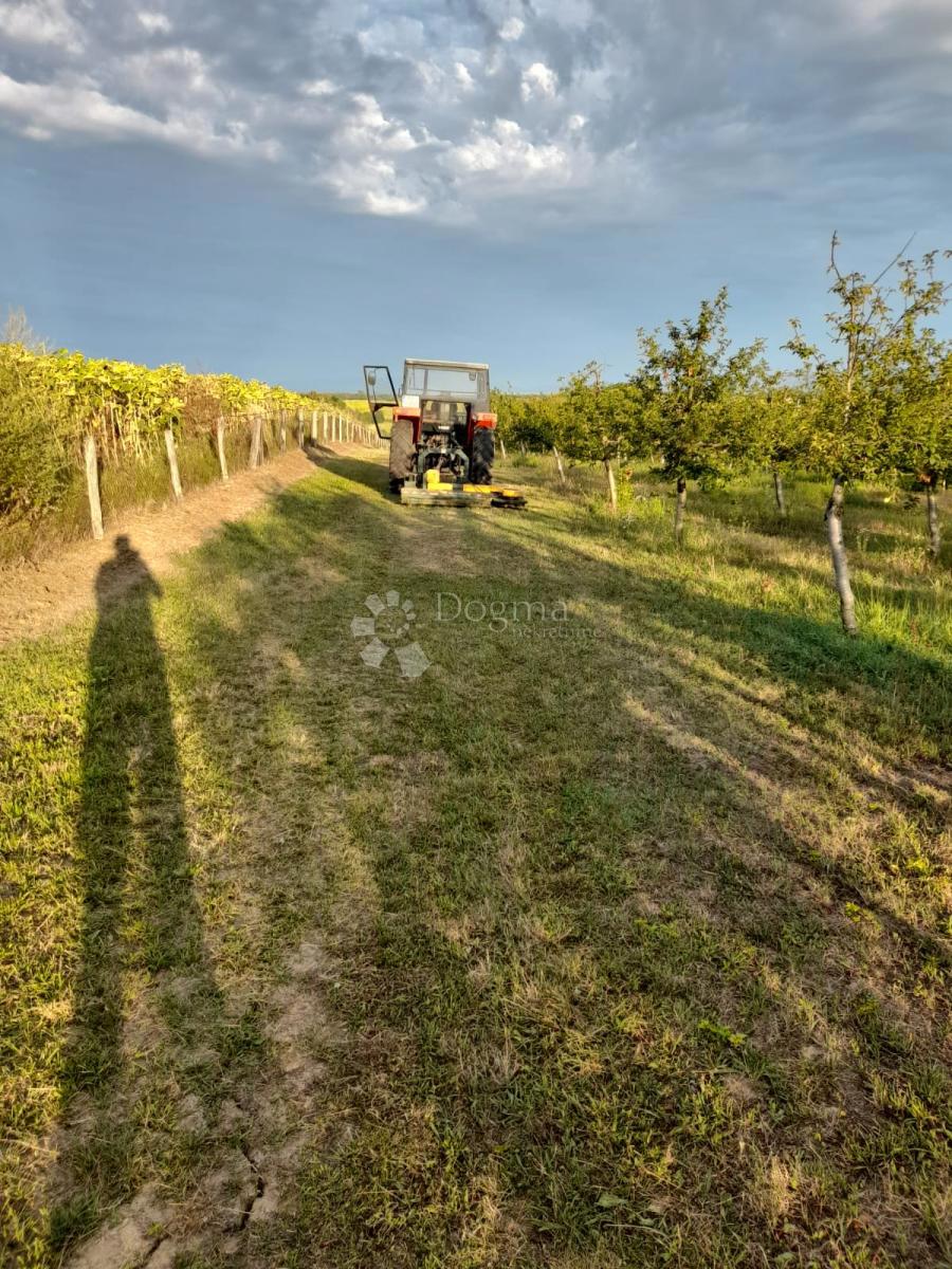 Terreno Gradište, Kutjevo, 26.705m2