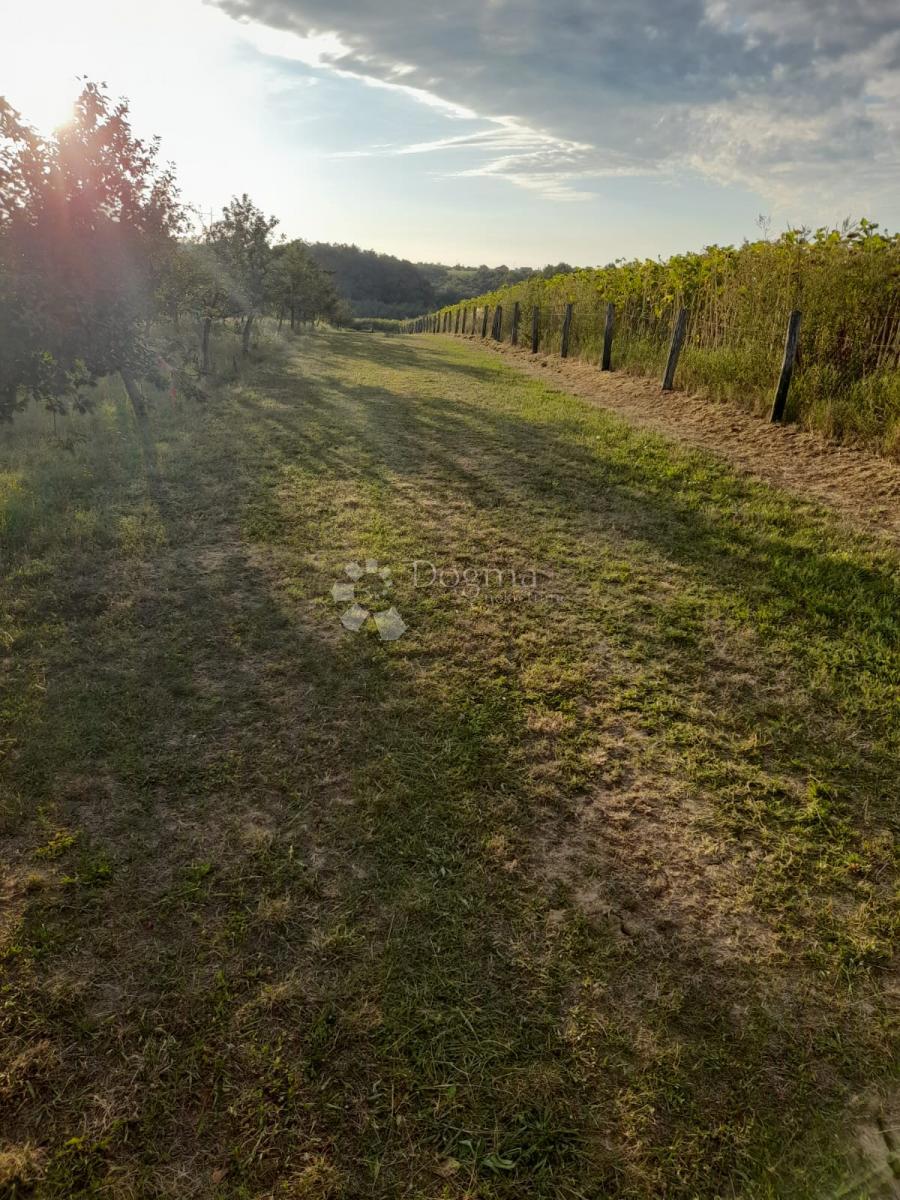 Terreno Gradište, Kutjevo, 26.705m2