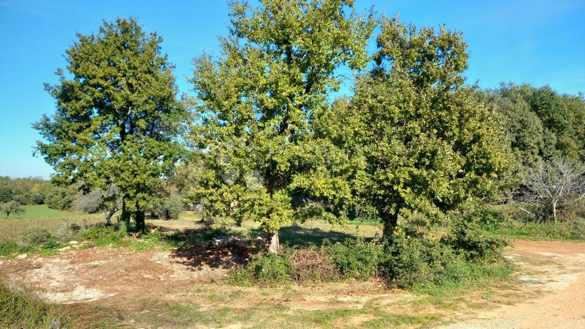 In vendita: ampio terreno edificabile con vista mare in un quartiere tranquillo