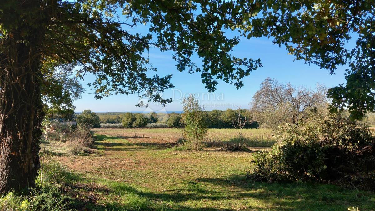 In vendita: ampio terreno edificabile con vista mare in un quartiere tranquillo