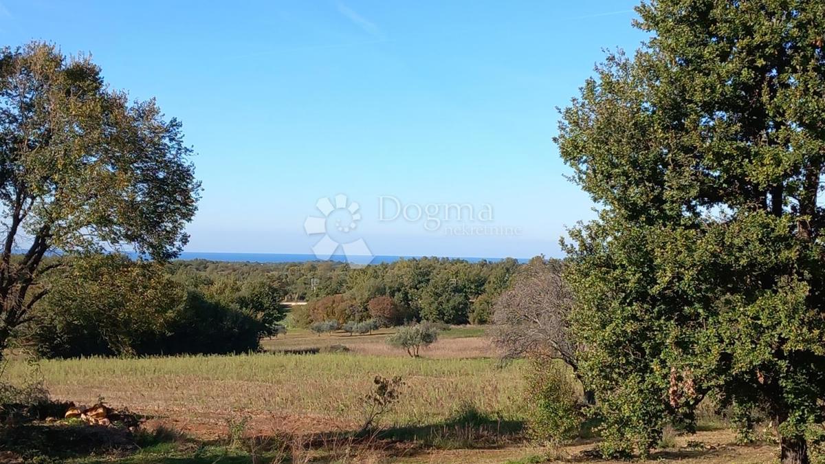 In vendita: ampio terreno edificabile con vista mare in un quartiere tranquillo