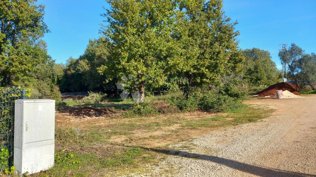 In vendita: ampio terreno edificabile con vista mare in un quartiere tranquillo