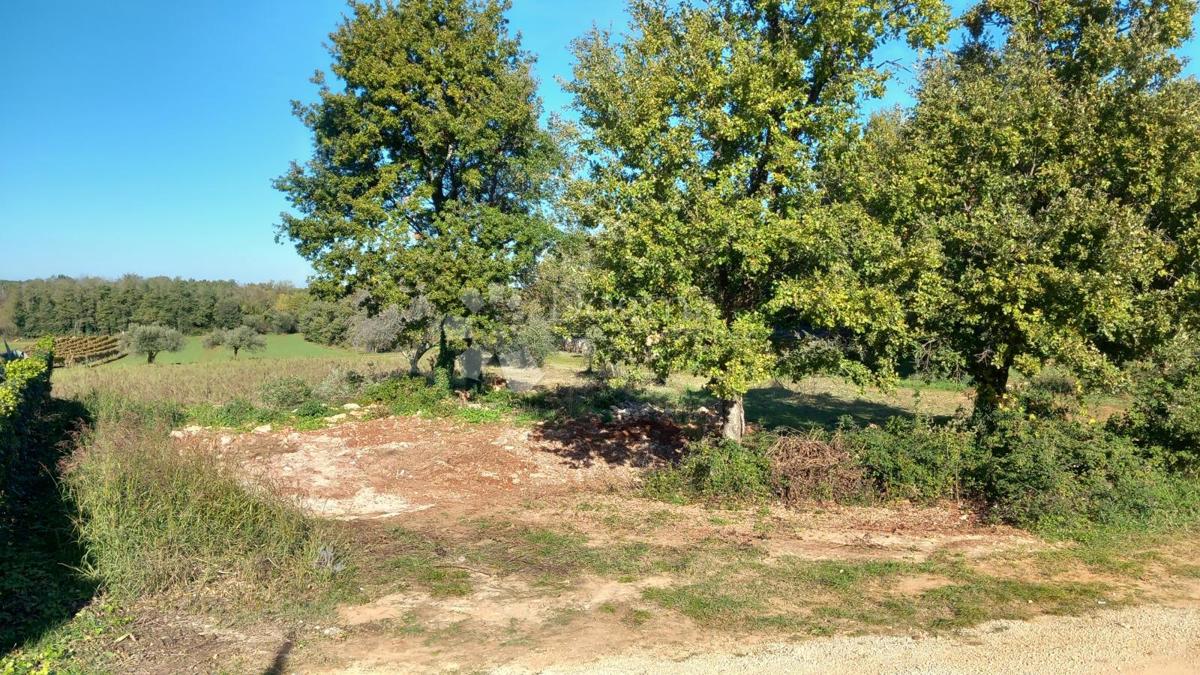 In vendita: ampio terreno edificabile con vista mare in un quartiere tranquillo