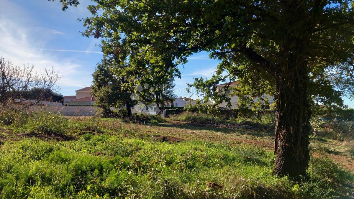 In vendita: ampio terreno edificabile con vista mare in un quartiere tranquillo