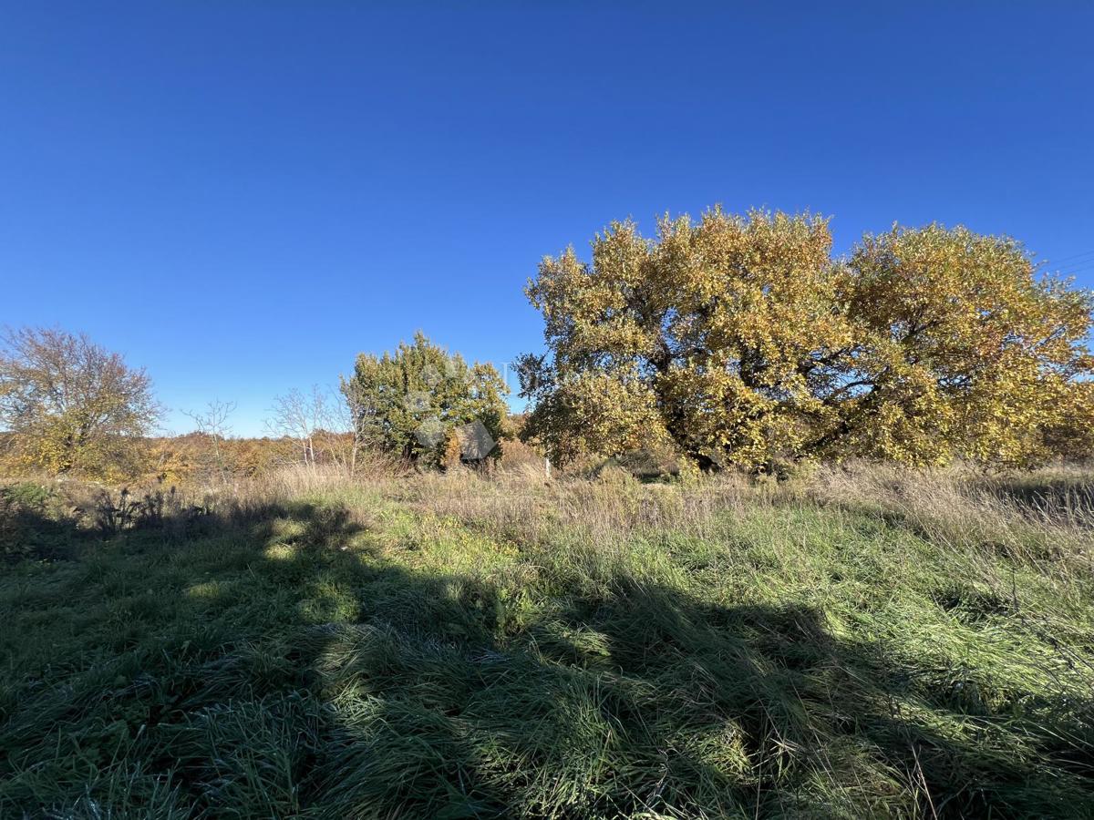 TERRENO EDIFICABILE CON PERMESSO DI COSTRUIRE