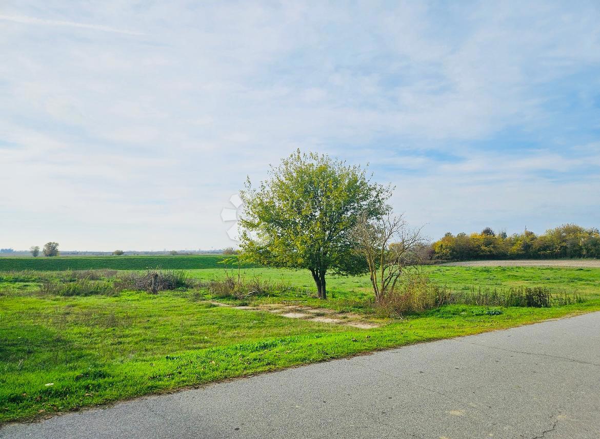 Casa Branjina, Popovac, 900m2