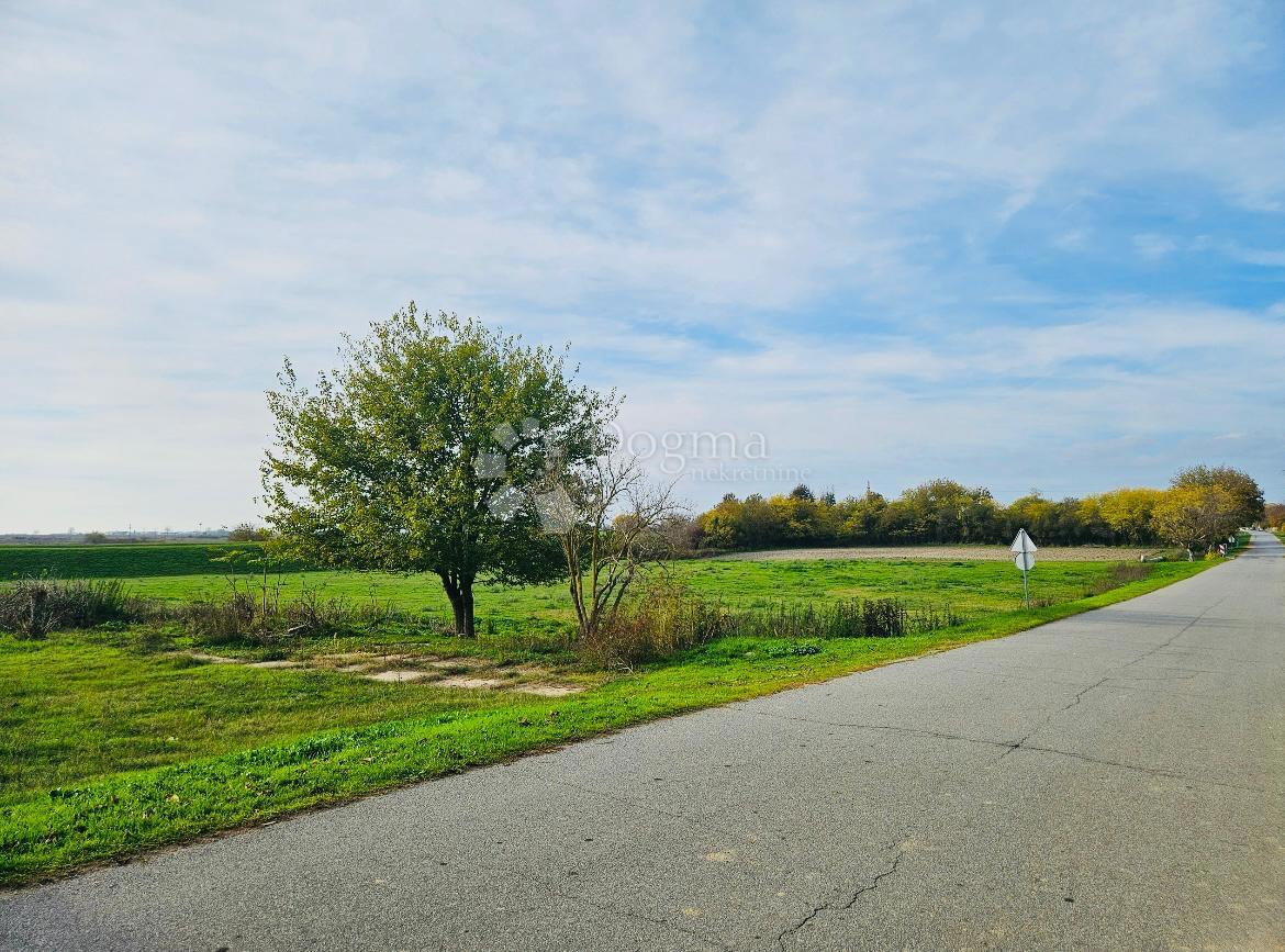 Casa Branjina, Popovac, 900m2