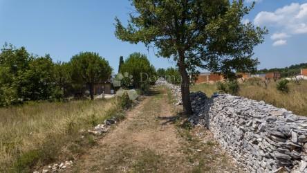 Terreno edificabile con uliveto vicino a Vodnjan, Istria