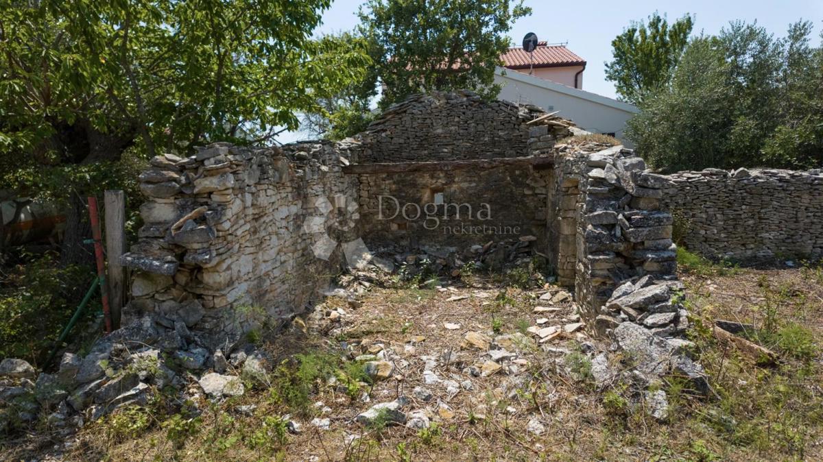Terreno edificabile con uliveto vicino a Vodnjan, Istria