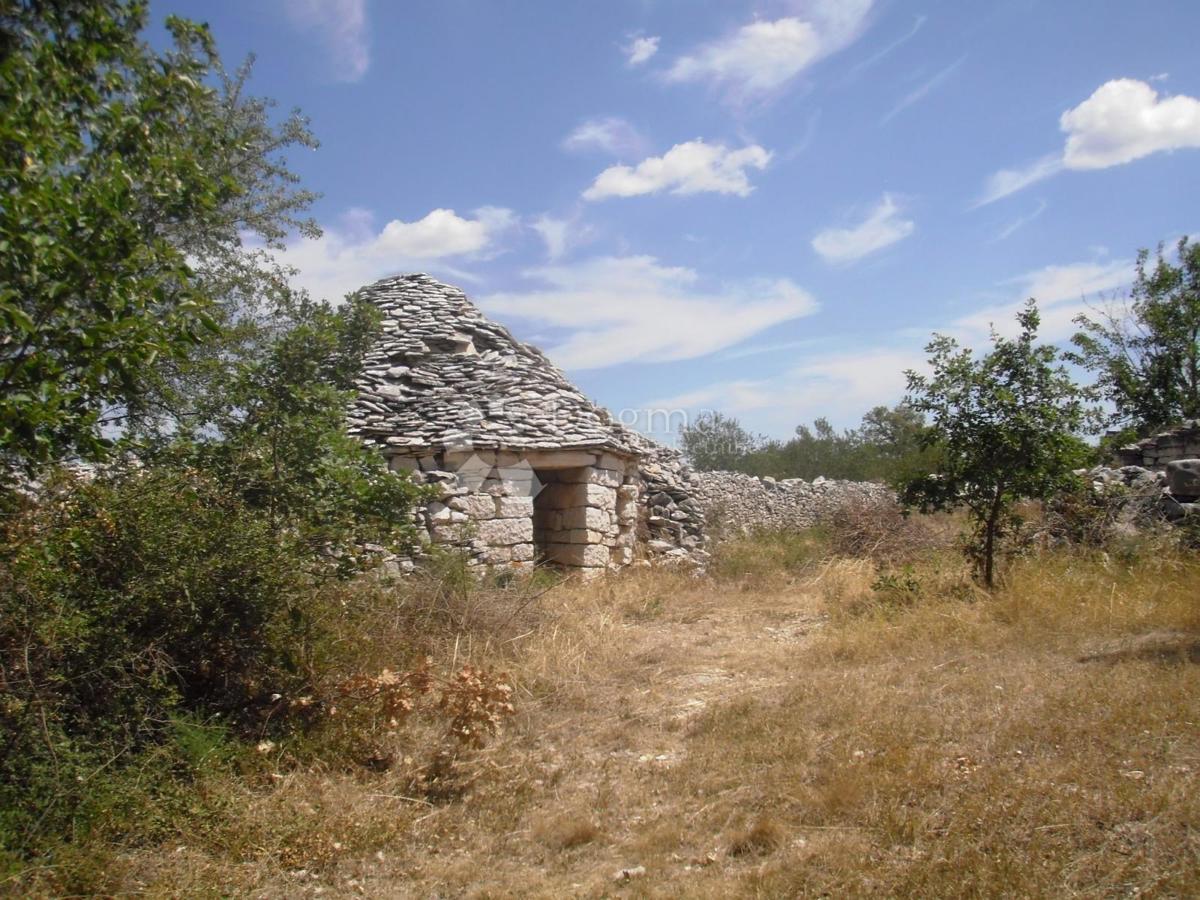 Terreno edificabile con uliveto vicino a Vodnjan, Istria