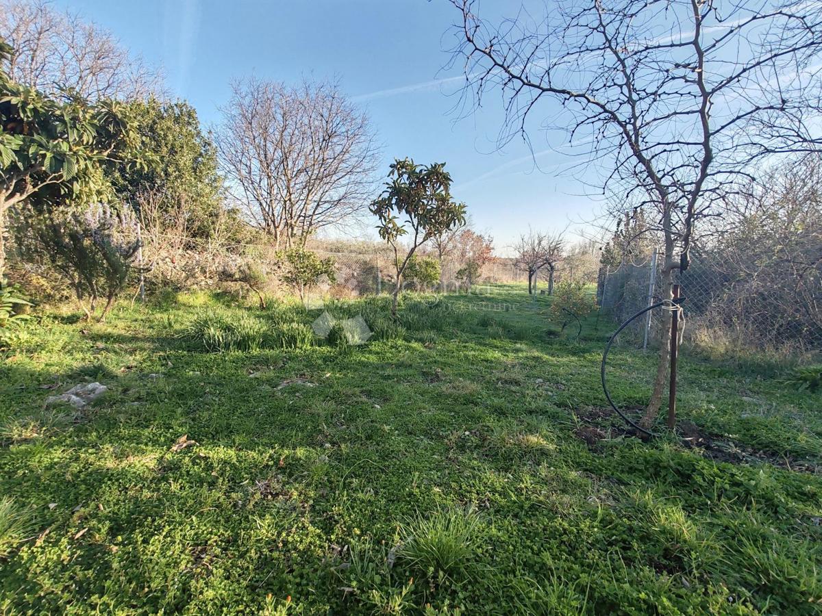 Poličnik – Autentica casa in pietra e proprietà spaziosa