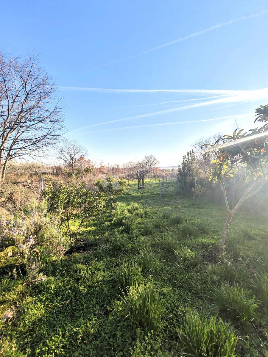 Poličnik – Autentica casa in pietra e proprietà spaziosa